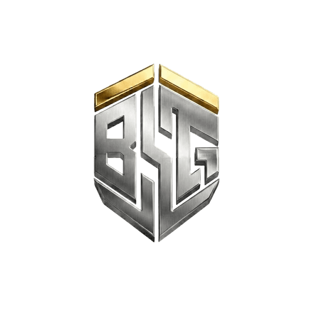 BSG Group